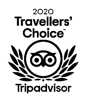 Tripadvisor Transfer Cancun Airport