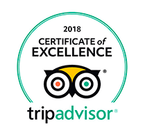 Tripadvisor Transfer Cancun Airport