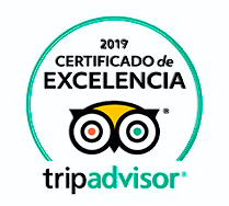 Tripadvisor Transfer Cancun Airport