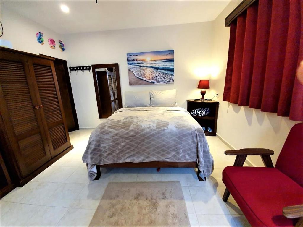 Transfer from Cancun to Hotel Coralito Malecon Luxury Studio Isla Mujeres